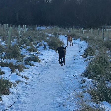 Aviemore Highlands No82 Dış mekan fotoğraf