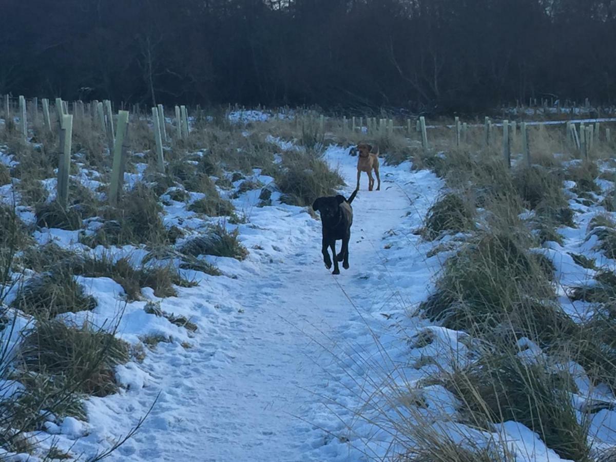 Aviemore Highlands No82 Dış mekan fotoğraf
